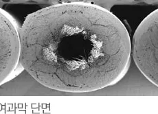 담체 미생물 부착