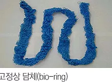 고정상 담체(bio-ring)