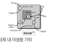 ​담체 내 미생물 기작